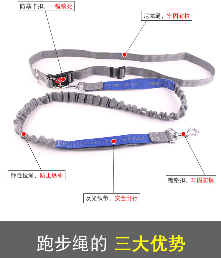 Amazon Pet Supplies Explosion-Proof Elastic Nylon Pet Running Hand Holding Rope Pet Rope in Stock Wholesale Amazon Pet Supplies Explosion-Proof Elastic Nylon Pet Running Hand Holding Rope Pet Rope in Stock Wholesale
