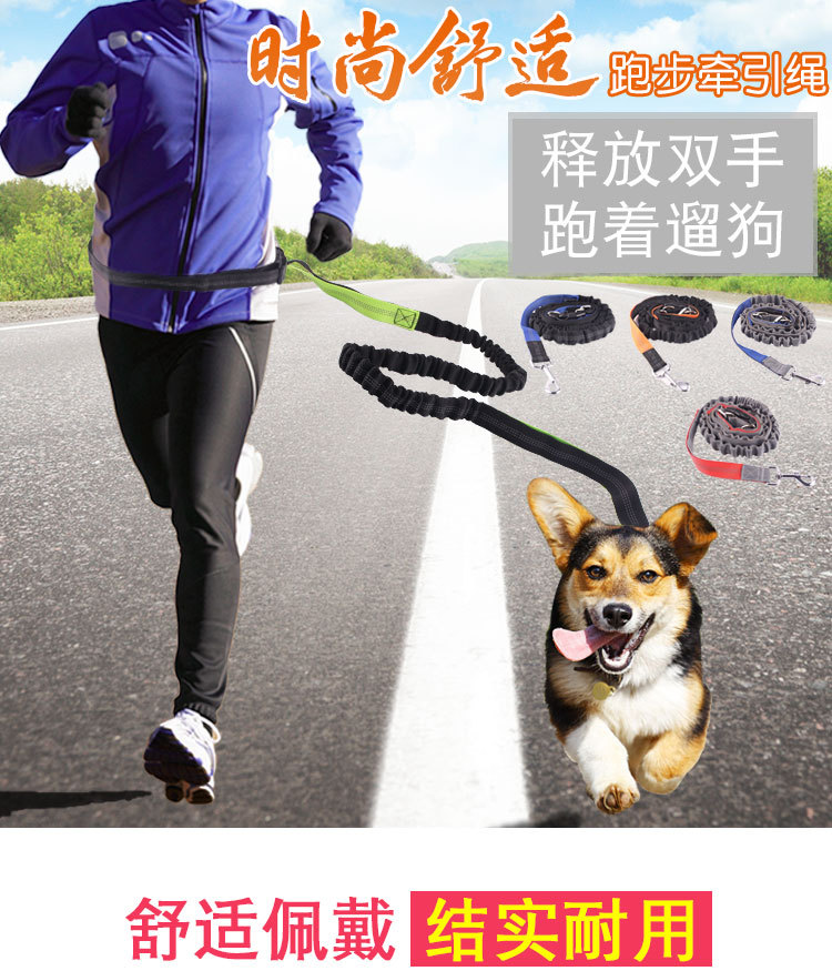Amazon Pet Supplies Explosion-Proof Elastic Nylon Pet Running Hand Holding Rope Pet Rope in Stock Wholesale Amazon Pet Supplies Explosion-Proof Elastic Nylon Pet Running Hand Holding Rope Pet Rope in Stock Wholesale