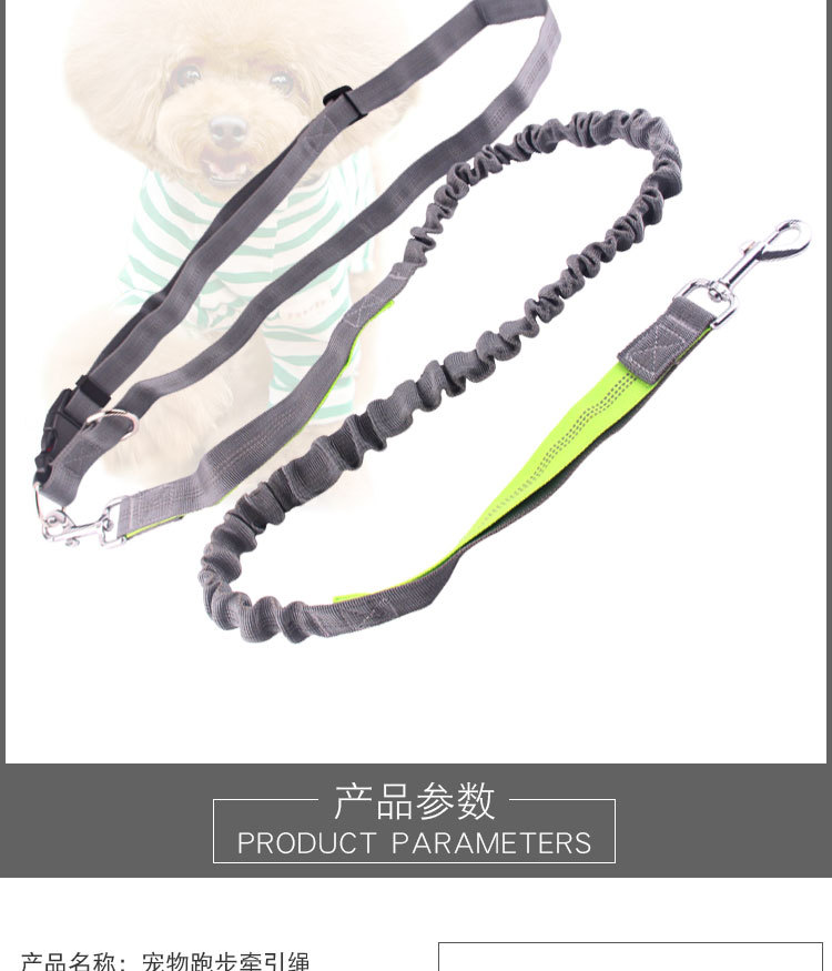 Amazon Pet Supplies Explosion-Proof Elastic Nylon Pet Running Hand Holding Rope Pet Rope in Stock Wholesale Amazon Pet Supplies Explosion-Proof Elastic Nylon Pet Running Hand Holding Rope Pet Rope in Stock Wholesale
