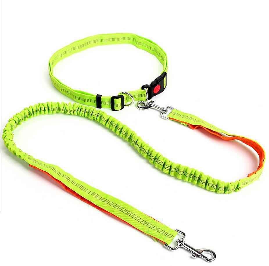 Amazon Pet Supplies Explosion-Proof Elastic Nylon Pet Running Hand Holding Rope Pet Rope in Stock Wholesale Amazon Pet Supplies Explosion-Proof Elastic Nylon Pet Running Hand Holding Rope Pet Rope in Stock Wholesale