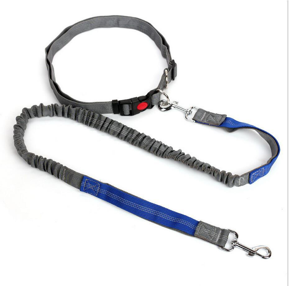 Amazon Pet Supplies Explosion-Proof Elastic Nylon Pet Running Hand Holding Rope Pet Rope in Stock Wholesale Amazon Pet Supplies Explosion-Proof Elastic Nylon Pet Running Hand Holding Rope Pet Rope in Stock Wholesale