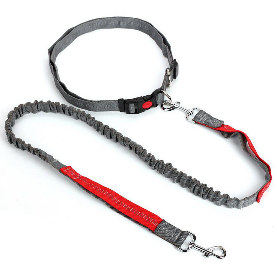 Amazon Pet Supplies Explosion-Proof Elastic Nylon Pet Running Hand Holding Rope Pet Rope in Stock Wholesale Amazon Pet Supplies Explosion-Proof Elastic Nylon Pet Running Hand Holding Rope Pet Rope in Stock Wholesale