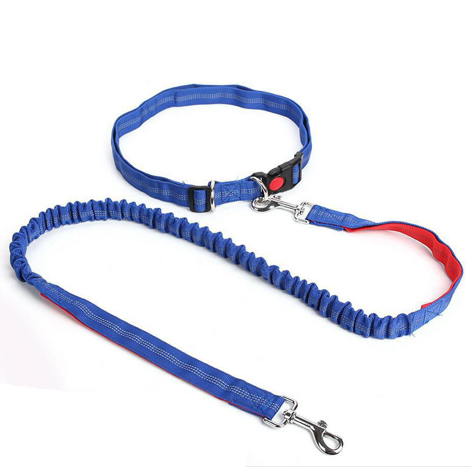 Amazon Pet Supplies Explosion-Proof Elastic Nylon Pet Running Hand Holding Rope Pet Rope in Stock Wholesale Amazon Pet Supplies Explosion-Proof Elastic Nylon Pet Running Hand Holding Rope Pet Rope in Stock Wholesale
