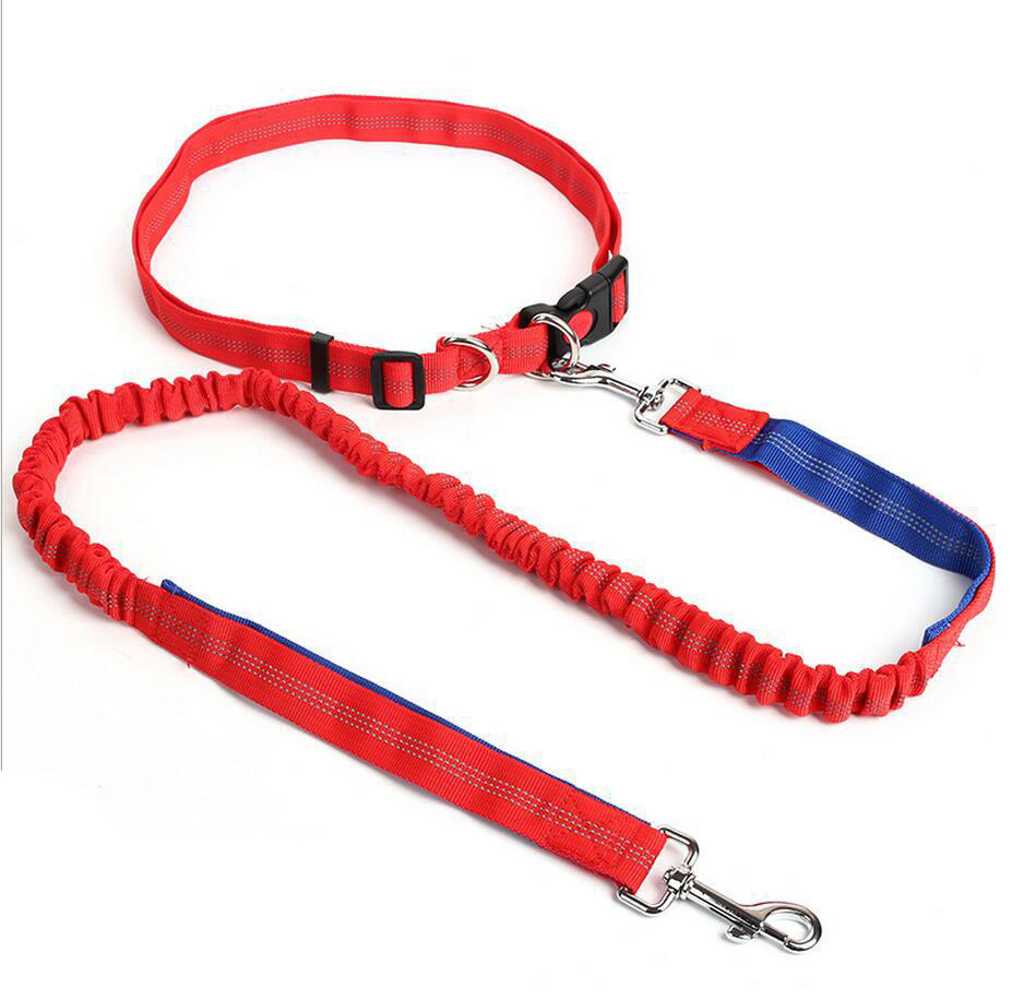 Amazon Pet Supplies Explosion-Proof Elastic Nylon Pet Running Hand Holding Rope Pet Rope in Stock Wholesale Amazon Pet Supplies Explosion-Proof Elastic Nylon Pet Running Hand Holding Rope Pet Rope in Stock Wholesale