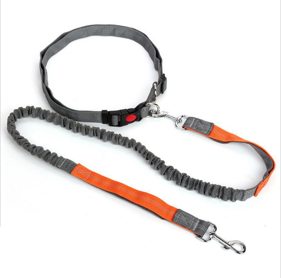 Amazon Pet Supplies Explosion-Proof Elastic Nylon Pet Running Hand Holding Rope Pet Rope in Stock Wholesale Amazon Pet Supplies Explosion-Proof Elastic Nylon Pet Running Hand Holding Rope Pet Rope in Stock Wholesale