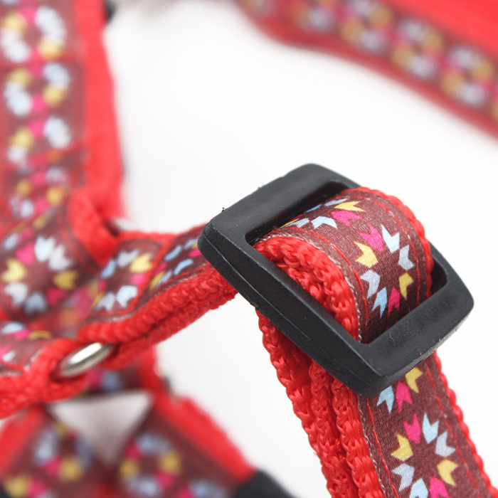 Pet rope sunflowers.