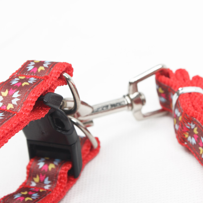 Pet rope sunflowers.