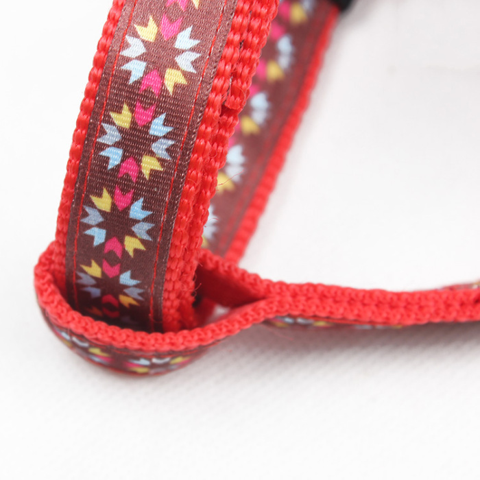 Pet rope sunflowers.