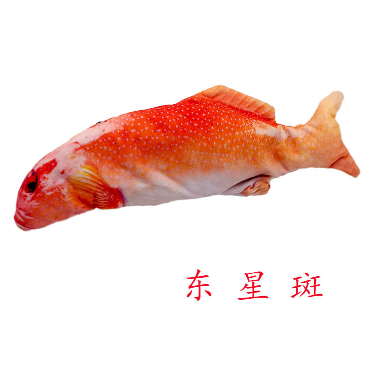 Douyin Same Electric Fish Simulated Fish Funny Cat Beating Fish Funny Cat Pet Toy USB Charging Net Red Fish