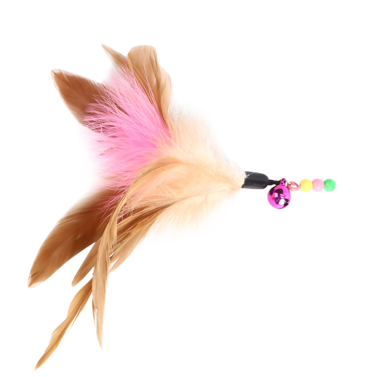 Factory In Stock Steel Wire Color Feather Cat Teaser Cat Toy Free Bell Cat Toy Pet Supplies Wholesale
