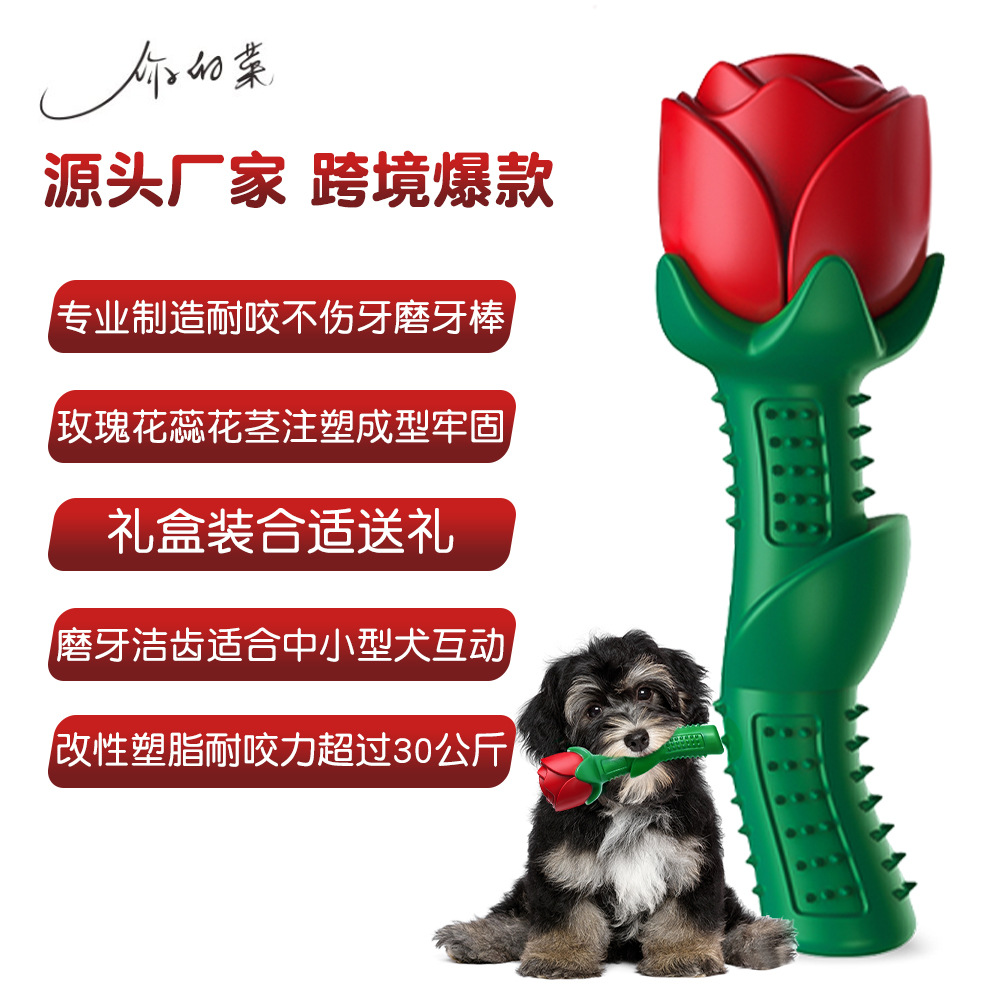 Your Food Pet the Toy Dog Toothbrush Teddy/Golden Retriever Small and Medium Dog Toy Bite-Resistant Molar Rod Dog Toy Gift