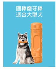 Your Food Pet the Toy Dog Toothbrush Teddy/Golden Retriever Small and Medium Dog Toy Bite-Resistant Molar Rod Dog Toy Gift