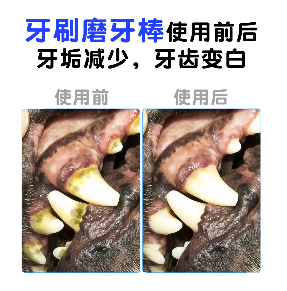 Your Food Pet the Toy Dog Toothbrush Teddy/Golden Retriever Small and Medium Dog Toy Bite-Resistant Molar Rod Dog Toy Gift