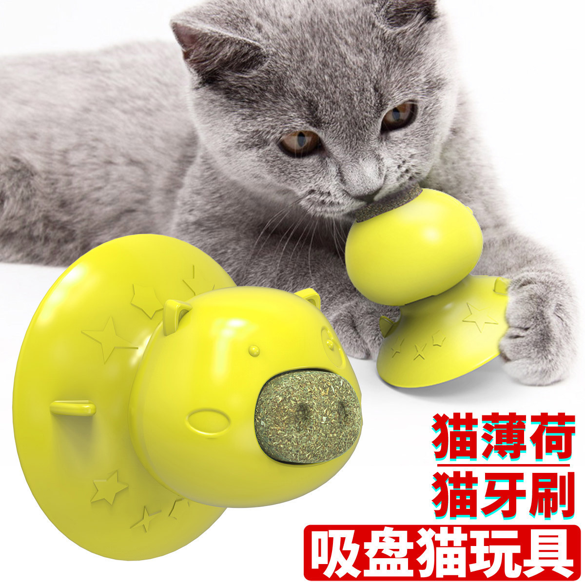 Pet Supplies Amazon Hot Sale Hot Sale Sucker Catnip Toy Toothbrush Molar Funny Cat Toy