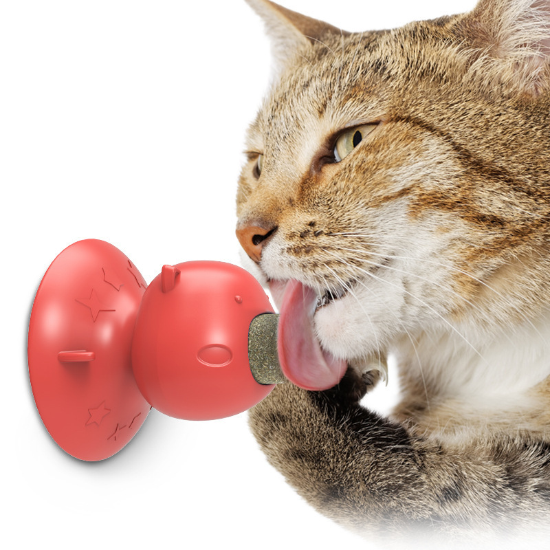Pet Supplies Amazon Hot Sale Hot Sale Sucker Catnip Toy Toothbrush Molar Funny Cat Toy