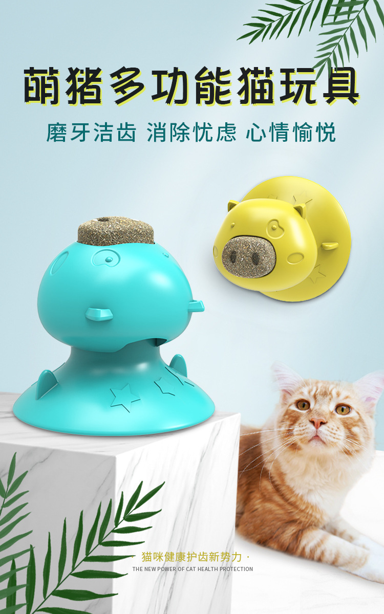 Pet Supplies Amazon Hot Sale Hot Sale Sucker Catnip Toy Toothbrush Molar Funny Cat Toy