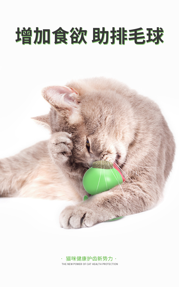 Pet Supplies Amazon Hot Sale Hot Sale Sucker Catnip Toy Toothbrush Molar Funny Cat Toy