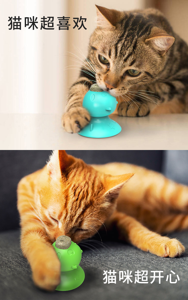 Pet Supplies Amazon Hot Sale Hot Sale Sucker Catnip Toy Toothbrush Molar Funny Cat Toy