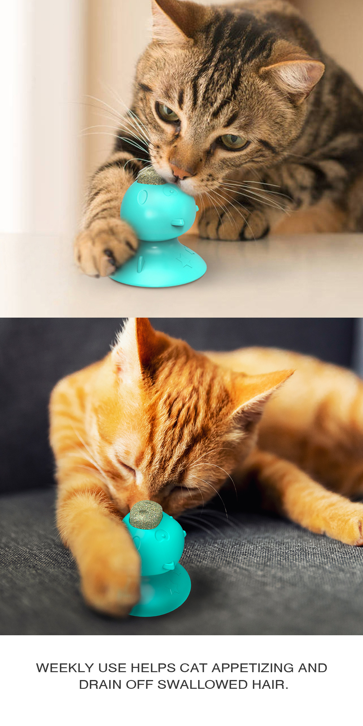 Pet Supplies Amazon Hot Sale Hot Sale Sucker Catnip Toy Toothbrush Molar Funny Cat Toy
