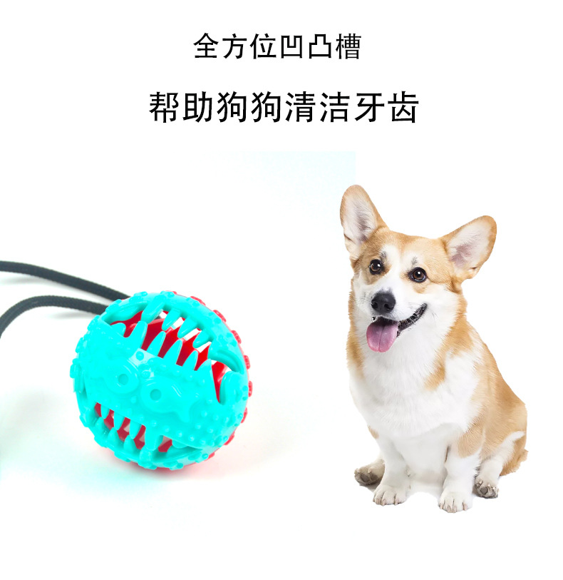 Amazon New Sucker Dog Toy Molar Nibbling Interactive Food Leakage Dog Rubber Toy Combination Pet Toothbrush