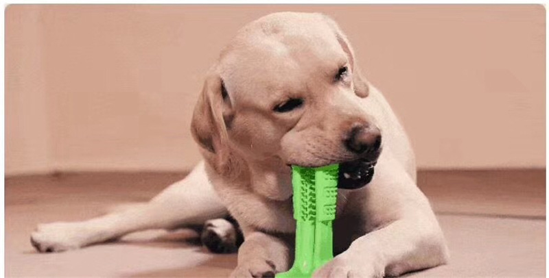 Pet grinding stick dog toothbrush rubber silicone teeth cleaning toy multi-size bite stick large