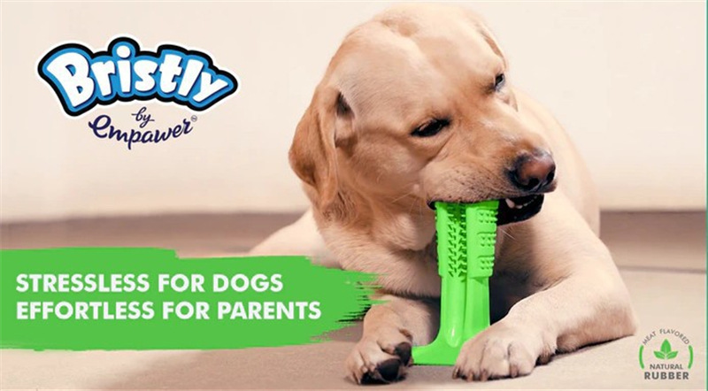 Pet grinding stick dog toothbrush rubber silicone teeth cleaning toy multi-size bite stick large
