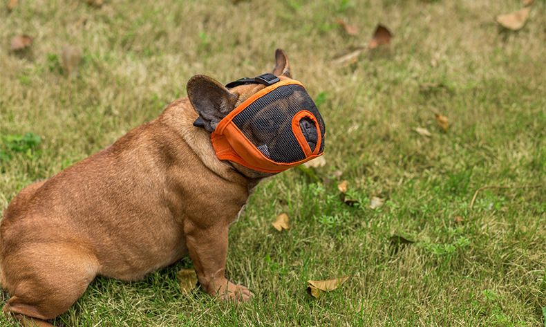 Amazon Cross-Border Factory Direct Supply Bulldog Eye Mask Short Nasal Cavity Dog Mask Dog Anti-Bite/Anti-Bark Muzzle Amazon Cross-Border Factory Direct Supply Bulldog Eye Mask Short Nasal Cavity Dog Mask Dog Anti-Bite/Anti-Bark Muzzle