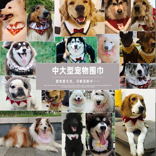 Pet's Saliva Towel Lace Princess Dog Scarf Triangle Scarf Bib Accessories Bib Cat Turtleneck Decorations