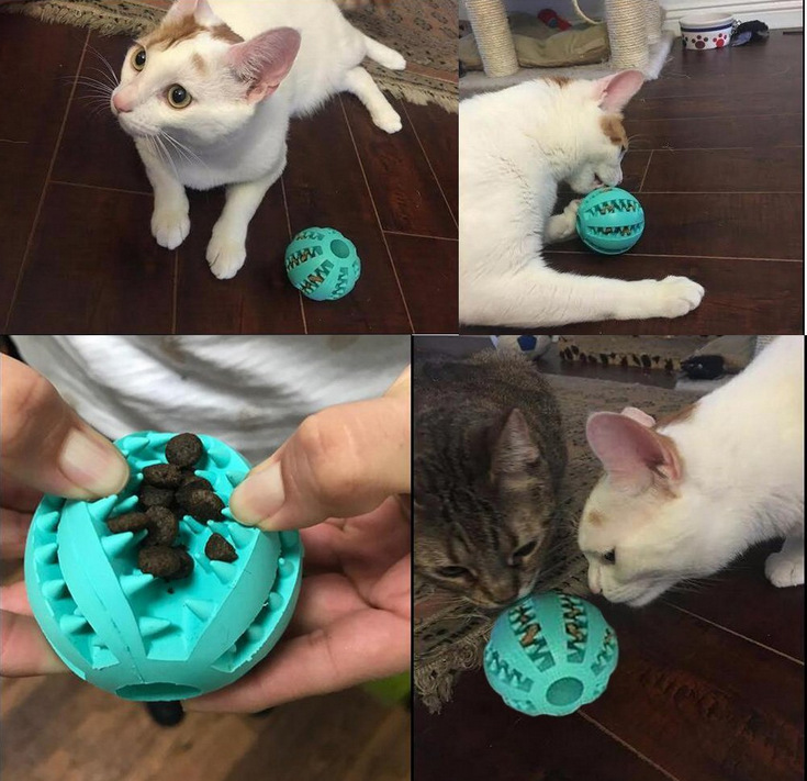 Dog Toys Bite-Resistant Ball Cat Rubber round Toy Food Dropping Ball Teether Ball Amazon Pet Supplies Factory Dog Toys Bite-Resistant Ball Cat Rubber round Toy Food Dropping Ball Teether Ball Amazon Pet Supplies Factory