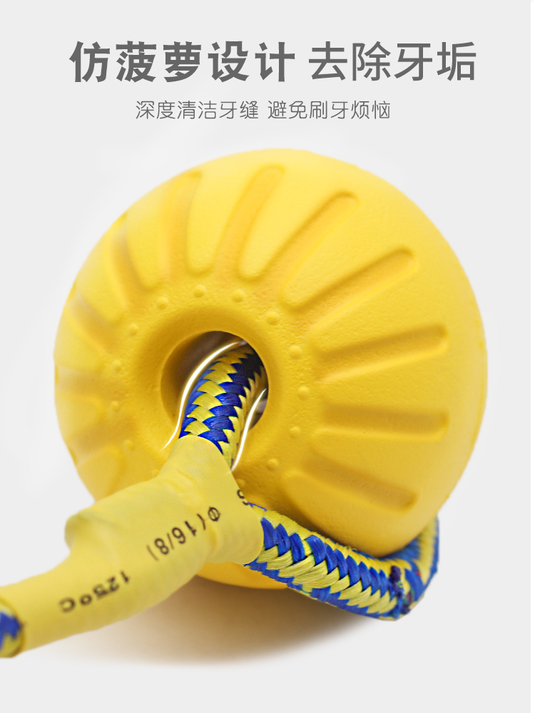 One Piece Dropshipping Pet Dog EVA Training Frisbee Dog Training Pull Ring Bite-Resistant Molar Pet Ball Floating Water Toy One Piece Dropshipping Pet Dog EVA Training Frisbee Dog Training Pull Ring Bite-Resistant Molar Pet Ball Floating Water Toy