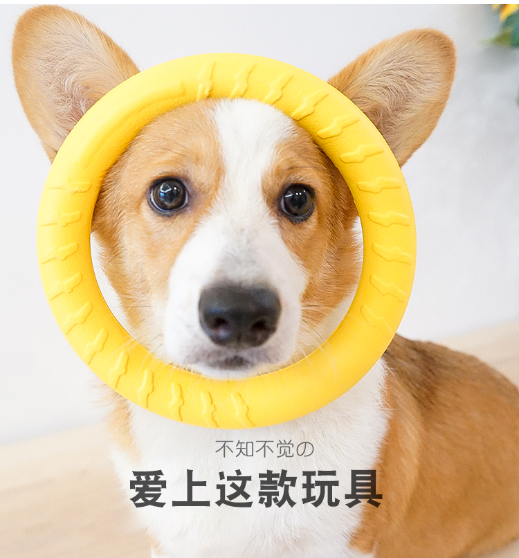 One Piece Dropshipping Pet Dog EVA Training Frisbee Dog Training Pull Ring Bite-Resistant Molar Pet Ball Floating Water Toy One Piece Dropshipping Pet Dog EVA Training Frisbee Dog Training Pull Ring Bite-Resistant Molar Pet Ball Floating Water Toy
