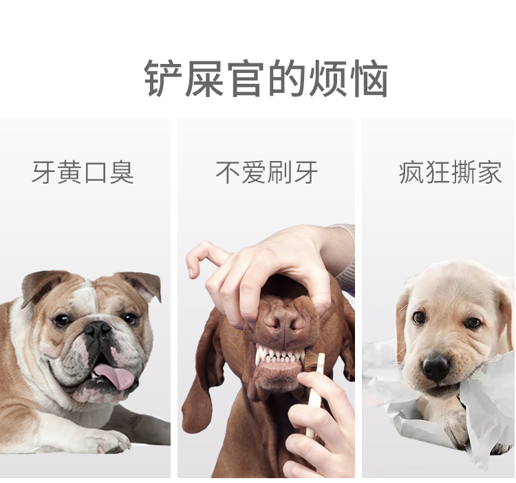 One Piece Dropshipping Pet Dog EVA Training Frisbee Dog Training Pull Ring Bite-Resistant Molar Pet Ball Floating Water Toy One Piece Dropshipping Pet Dog EVA Training Frisbee Dog Training Pull Ring Bite-Resistant Molar Pet Ball Floating Water Toy