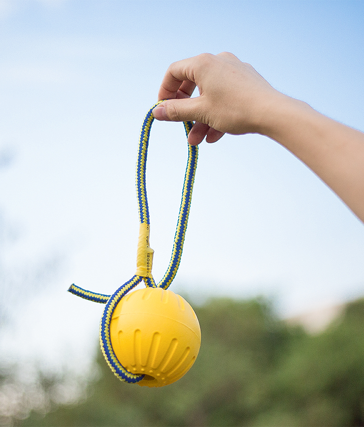 One Piece Dropshipping Pet Dog EVA Training Frisbee Dog Training Pull Ring Bite-Resistant Molar Pet Ball Floating Water Toy One Piece Dropshipping Pet Dog EVA Training Frisbee Dog Training Pull Ring Bite-Resistant Molar Pet Ball Floating Water Toy