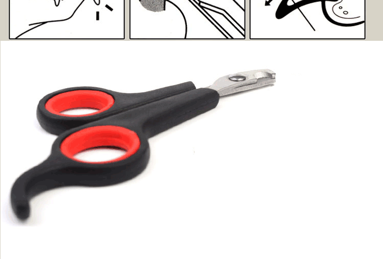 Pet Supplies Pet Nail Clipper Dogs and Cats Special Nail Clippers Cleaning Beauty Small Dog Pet Scissors in Stock Wholesale Pet Supplies Pet Nail Clipper Dogs and Cats Special Nail Clippers Cleaning Beauty Small Dog Pet Scissors in Stock Wholesale