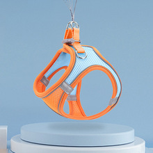 Amazon New Mini Pet Scissors Cat Nail Clippers Dog Nail Clippers Led Blood Line Pet Nail Clipper