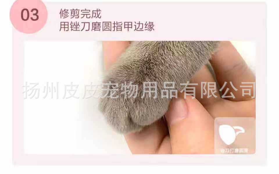 Manufacturer Cat Nail Clippers Nail Piercing Device Dog Nail Clippers Pet Nail Clipper LED Light Anti-Blood Position Manicure Manufacturer Cat Nail Clippers Nail Piercing Device Dog Nail Clippers Pet Nail Clipper LED Light Anti-Blood Position Manicure