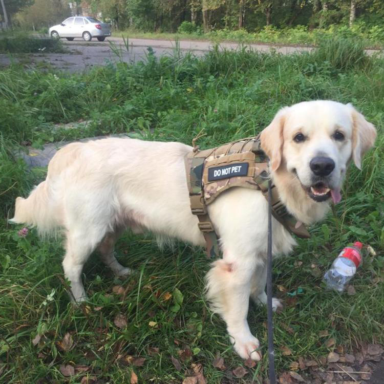 Tactical Dog Clothes Pet Vest Big Dog Clothes Clothes Outdoor Camouflage Dog Vest Nylon Waterproof Chest Back Training Vest K9