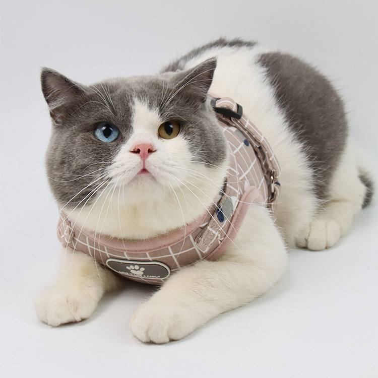 Pet Leash Vest-Style Dog Breast Strap Small and Medium-Sized Dogs Leash Cat Chest Back Currently Available Wholesale