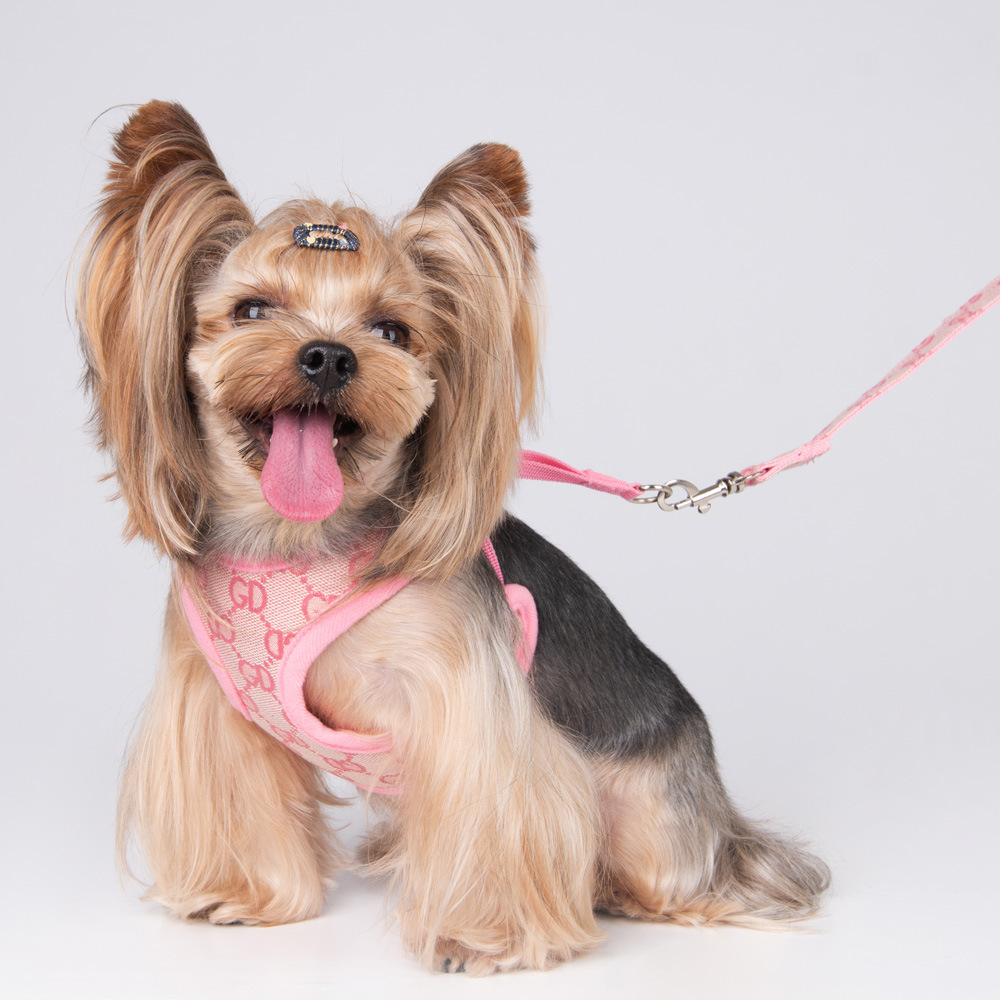 Amazon New Style Pet's Chest-Back Dog Hand Holding Rope Dog Rope out Collar Hand Holding Rope Pet Supplies Factory