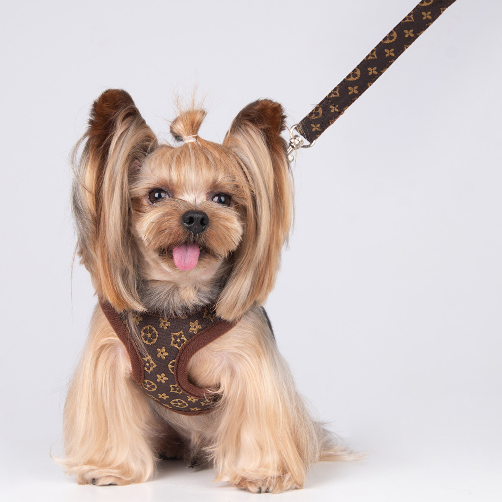 Amazon New Style Pet's Chest-Back Dog Hand Holding Rope Dog Rope out Collar Hand Holding Rope Pet Supplies Factory