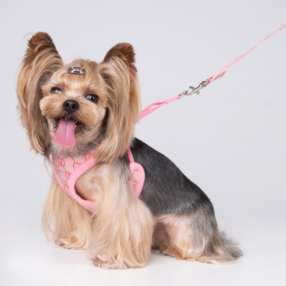 Amazon New Style Pet's Chest-Back Dog Hand Holding Rope Dog Rope out Collar Hand Holding Rope Pet Supplies Factory