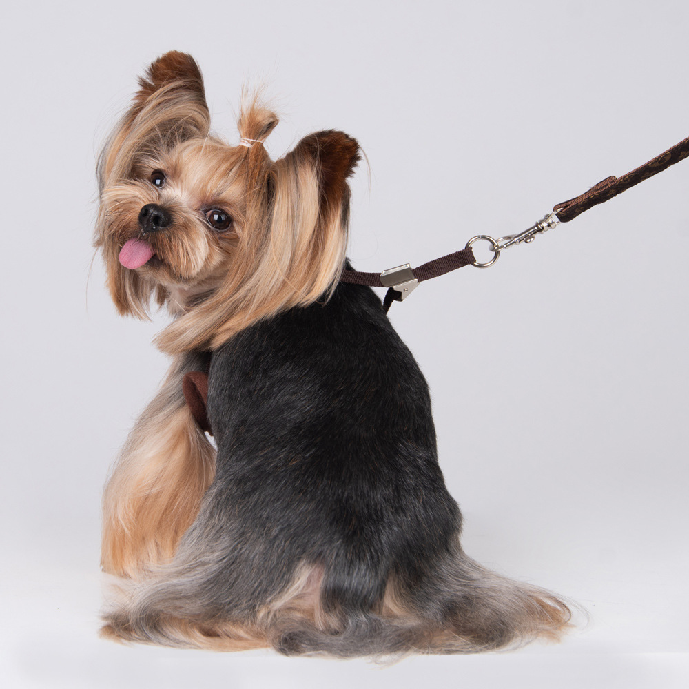 Amazon New Style Pet's Chest-Back Dog Hand Holding Rope Dog Rope out Collar Hand Holding Rope Pet Supplies Factory