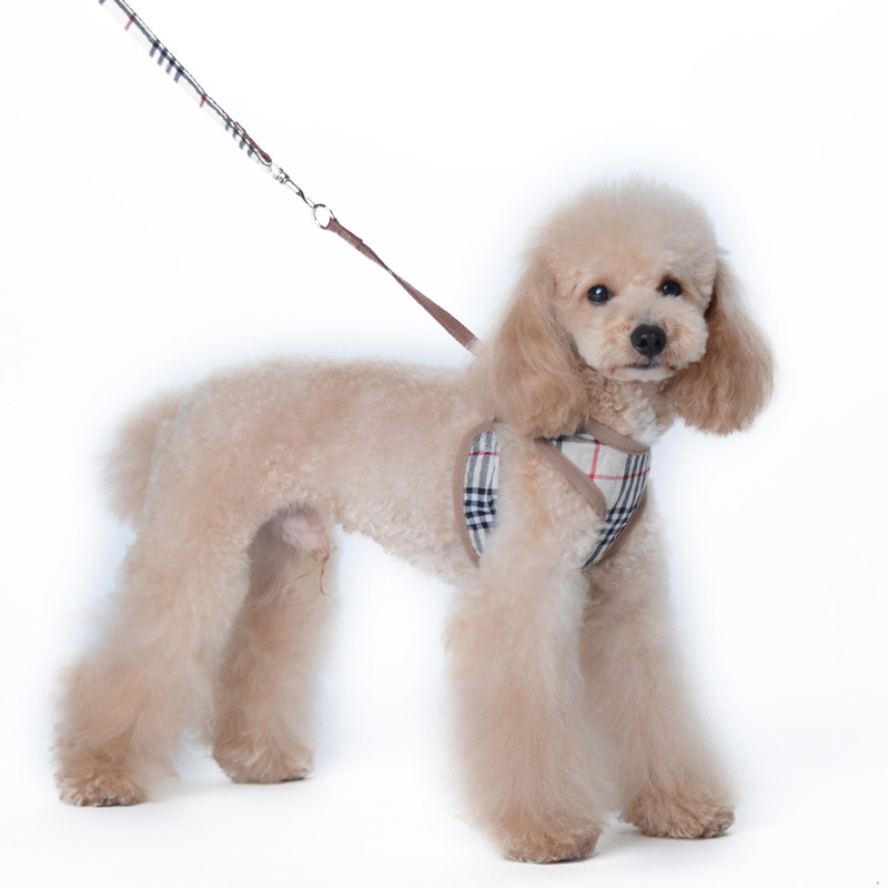 Amazon New Style Pet's Chest-Back Dog Hand Holding Rope Dog Rope out Collar Hand Holding Rope Pet Supplies Factory