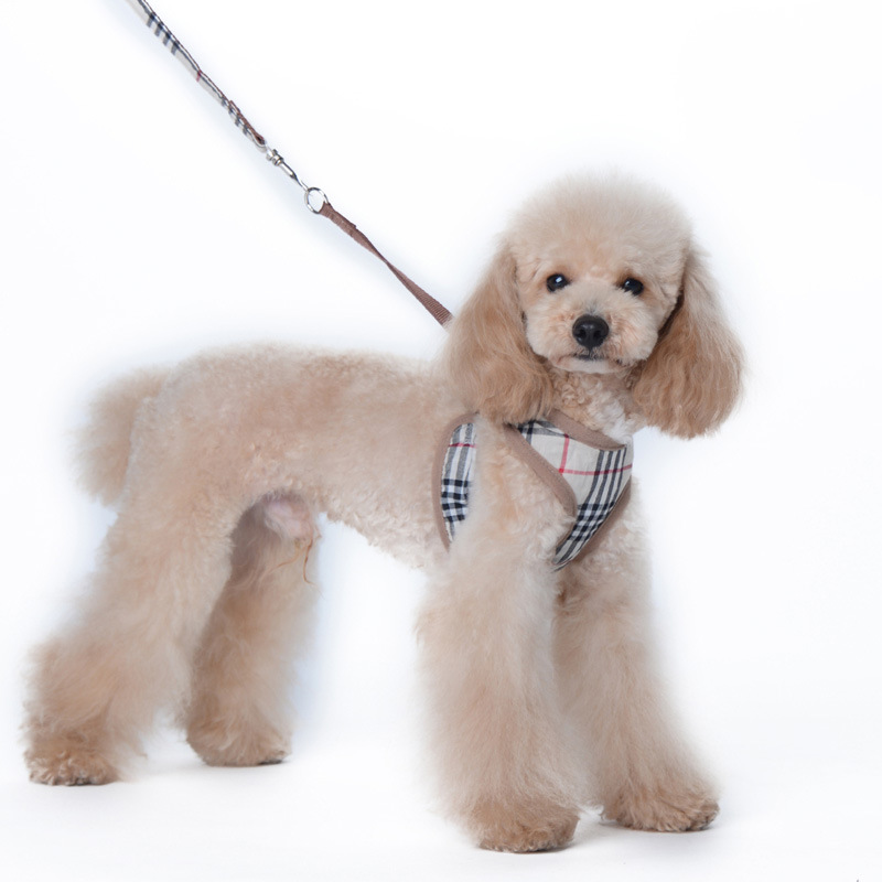 Amazon New Style Pet's Chest-Back Dog Hand Holding Rope Dog Rope out Collar Hand Holding Rope Pet Supplies Factory