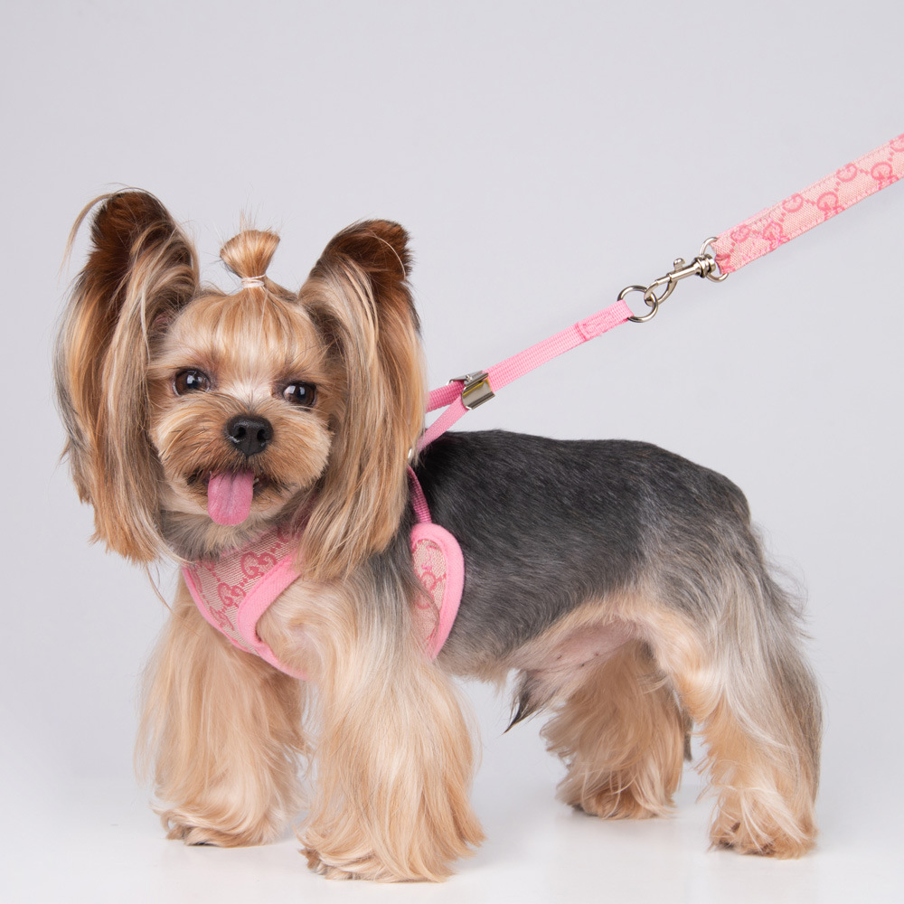Amazon New Style Pet's Chest-Back Dog Hand Holding Rope Dog Rope out Collar Hand Holding Rope Pet Supplies Factory