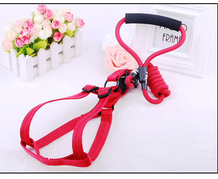 Manufacturer direct selling pet chest back - band traction rope nylon handle round rope climbing chest back cover