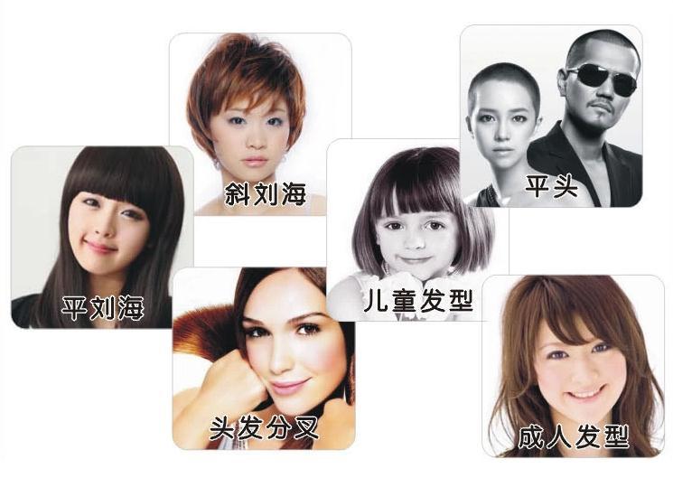 Bangs haircut scissors home pet grooming salon scissors shears straight shear cut Bangs haircut scissors home pet grooming salon scissors shears straight shear cut