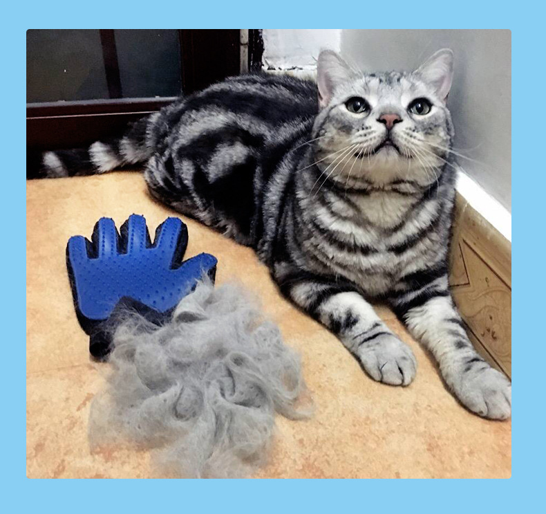 Cat Petting Hair Removal Gloves Bath Massage Pet Brushing Gloves Cleaning products Cat Petting Hair Removal Gloves Bath Massage Pet Brushing Gloves Cleaning products