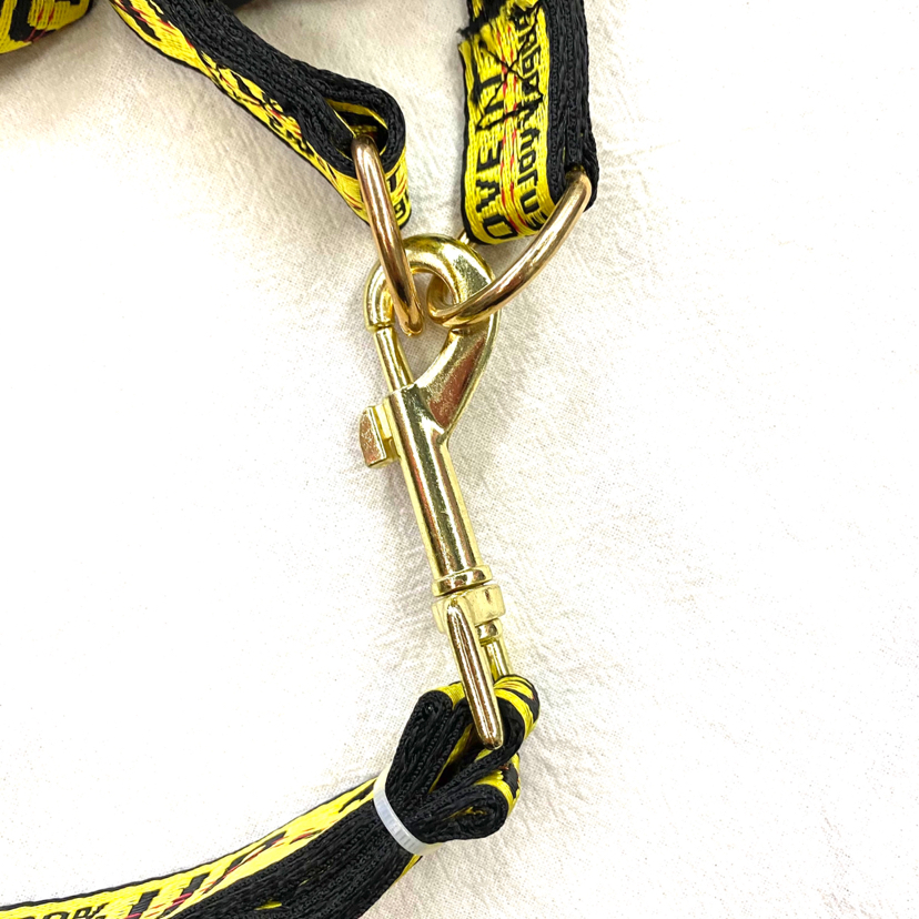 Pet Chain Popular English Letters Bandana Hand Holding Rope Source Factory