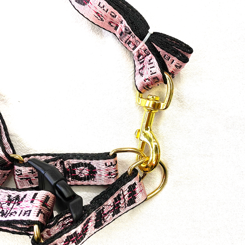 Pet Chain Popular English Letters Bandana Hand Holding Rope Source Factory